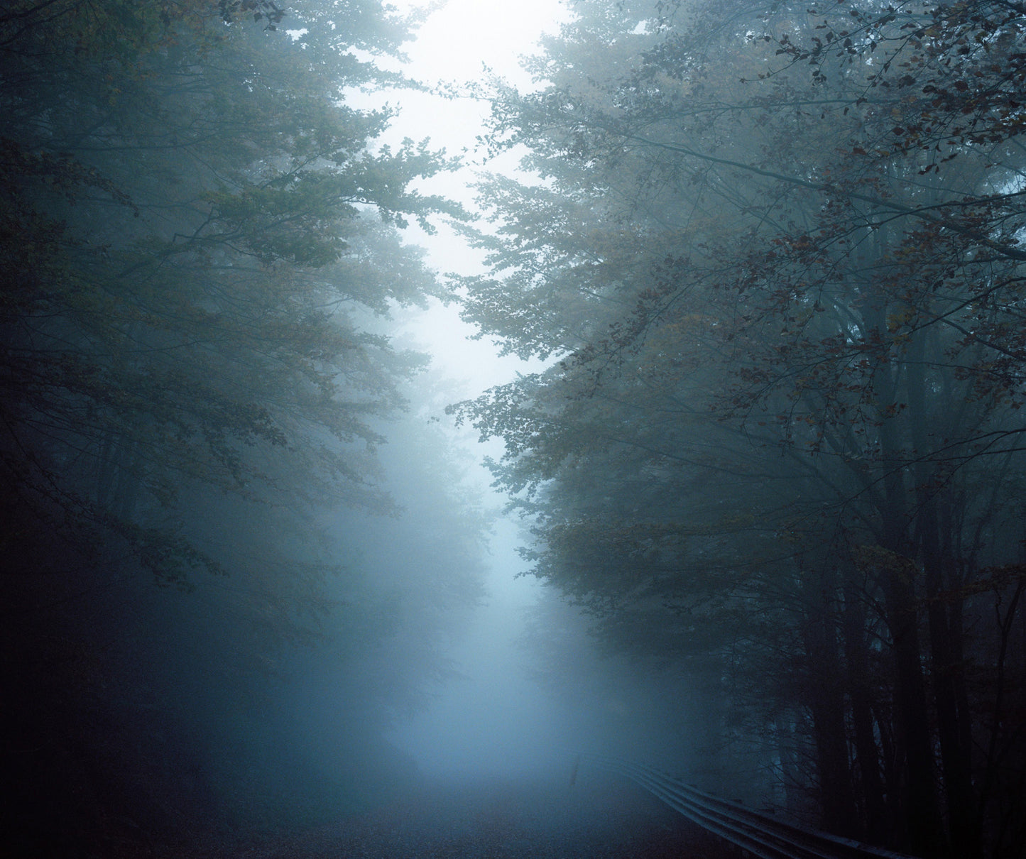 3 Day Digital Photography Residency May 29 - May 31